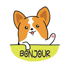 Gifs animés bonjour chien